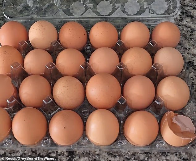 Husbands Fury After Discovering Wifes Infuriating Egg Habit – And Hes Not Alone Divorce Is Imminent - صورة مميزة صورة مميزة: Husbands Fury After Discovering Wifes Infuriating Egg Habit – And Hes Not Alone Divorce Is Imminent