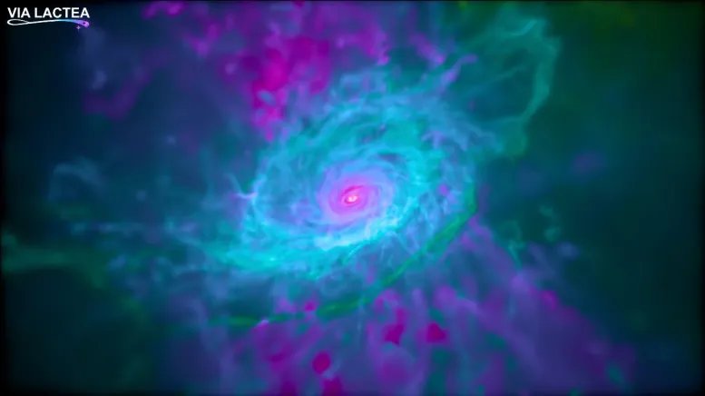 Auriga Galaxy Simulation