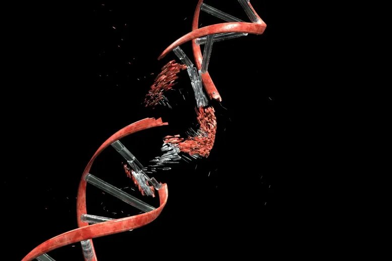 Genetic Repair DNA Damage