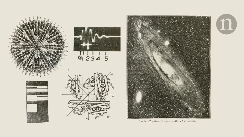 Safety regulations for cloning and a compass that finds true north