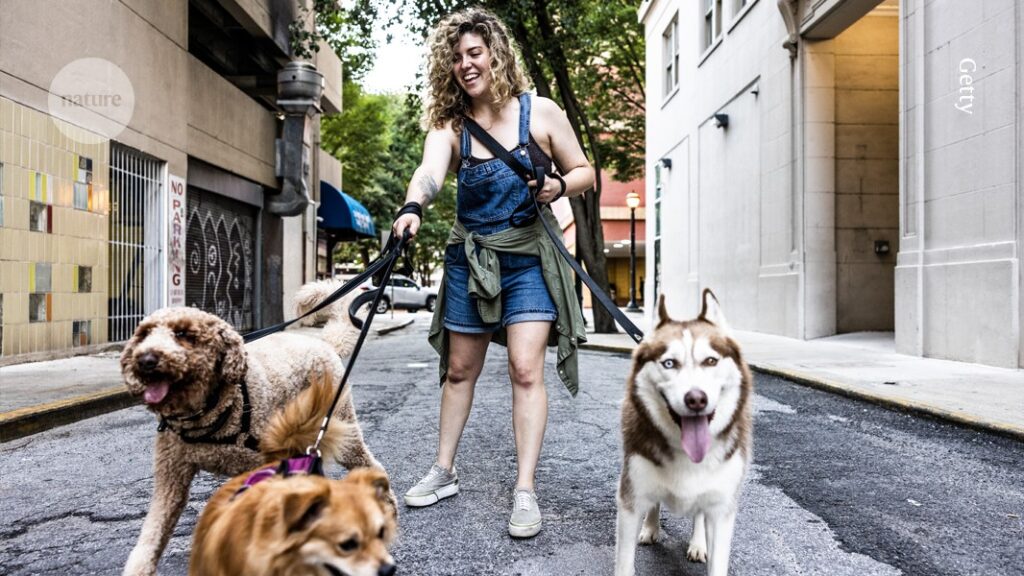 do you have a side hustle alongside your PhD studies